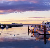 Bermagui Fishermens Wharf - Tourism Search