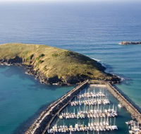 Muttonbird Island Nature Reserve - Tourism Search