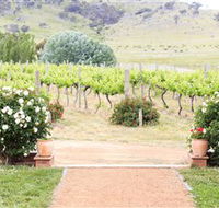 Brindabella Hills Winery - Tourism Search