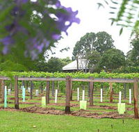 Douglas Vale Historic Homestead  Vineyard - Tourism Search