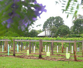 Douglas Vale Historic Homestead & Vineyard - Tourism Search 0