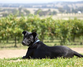 Moothi Estate Vineyard And Cellar Door - Tourism Search 0