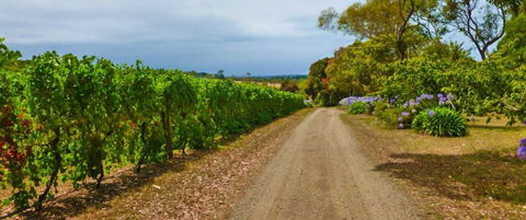Merricks Estate - Tourism Search 1