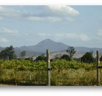 Ironbark Ridge Vineyard - Tourism Search