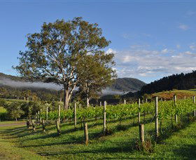 Sarabah Estate Vineyard - Tourism Search 1