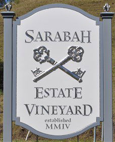 Sarabah Estate Vineyard - Tourism Search 3