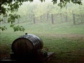 Arranmore Wines - Tourism Search 2