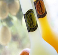 Ambra Limoncello - Tourism Search