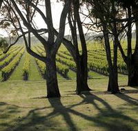 Henry's Drive Vignerons - Tourism Search