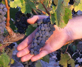 Eagles Rise Wine - Tourism Search 0