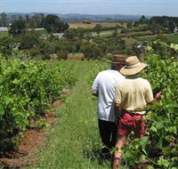 Sir Paz Estate - Tourism Search