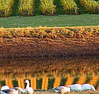 Pipers Brook Vineyard - Tourism Search