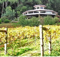 Peveril Vineyard/Beechy Berries - Tourism Search