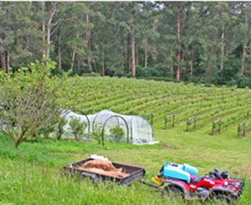 Peveril Vineyard/Beechy Berries - Tourism Search 1