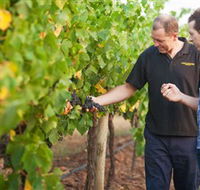 Fratin Brothers Vineyard - Tourism Search