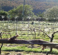 Three Willows Vineyard - Tourism Search