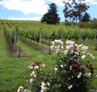 Pembroke Estate Vineyard - Tourism Search
