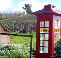 Dalrymple Vineyards - Tourism Search