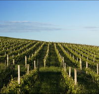 Delamere Vineyard - Tourism Search