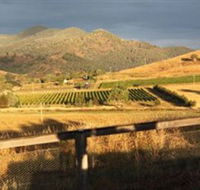 Optimiste Wines - Tourism Search