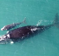 Fazshot Photography - Tourism Search