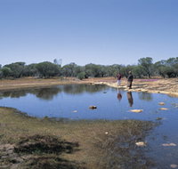 Camel Soak - Tourism Search