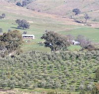Wymah Organic Olives and Lambs - Tourism Search