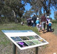 South Gundagai Woodlands Walk - Tourism Search