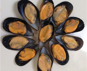Advance Mussel Supply - Tourism Search 3