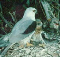 Bushy Park Wetlands - Tourism Search