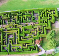 Hedgend Maze and Healesville Laser Sport - Tourism Search