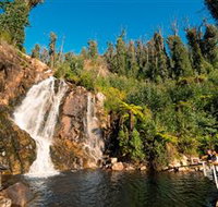 Steavenson Falls Marysville - Tourism Search