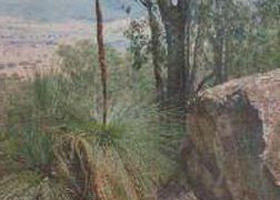 Whorouly South VIC Tourism Search