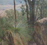 Mount Lawson State Park - Tourism Search