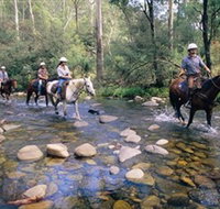 Howqua Hills Historic Area - Tourism Search