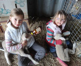 Bathurst Farm Experience - Tourism Search 4