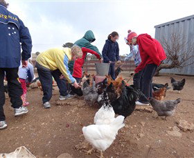 Bathurst Farm Experience - Tourism Search 2