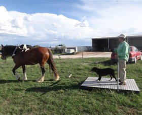 Bathurst Farm Experience - Tourism Search 6