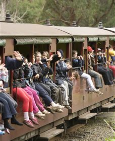 Puffing Billy Steam Railway - Tourism Search 1