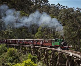Puffing Billy Steam Railway - Tourism Search 0