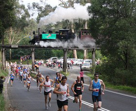 Puffing Billy Steam Railway - Tourism Search 7
