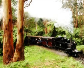 Puffing Billy Steam Railway - Tourism Search 5