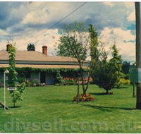 Tumut Valley Violets - Tourism Search