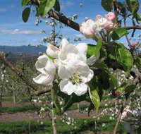 Mouat's Farm - Tourism Search