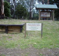 Shelley Forest Camp - Tourism Search
