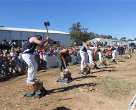 Quirindi Rural Heritage Village - Tourism Search 1