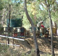 7 Oaks Sapphire Fossicking - Tourism Search