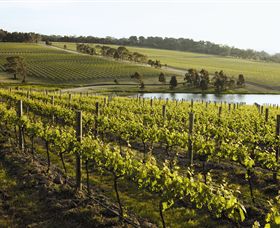 Yabby Lake Vineyard & Cellar Door - Tourism Search 7