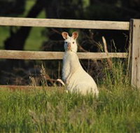 Panorama Garden Estate - Tourism Search