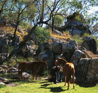 Coomba Falls - Tourism Search